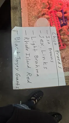 J and K's Feed and Vet Supplies, business photo 2
