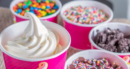Menchie's Frozen Yogurt, business photo 4