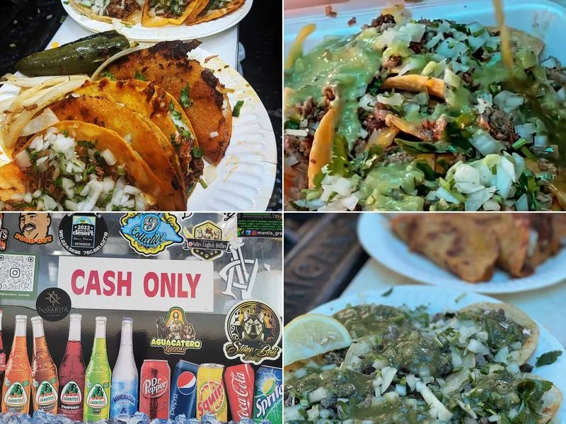 Tacos La Madrina ( Food Truck) business photo