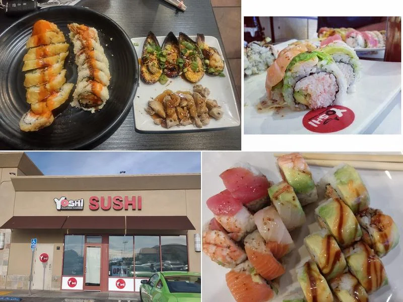 Yoshi Japanese Cuisine business photo